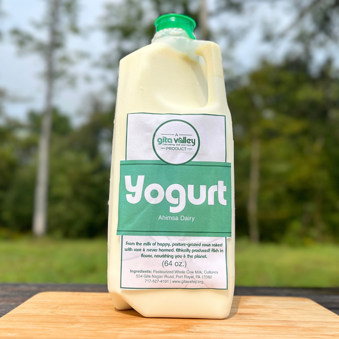 Ahimsa Yogurt — 1/2 gallon