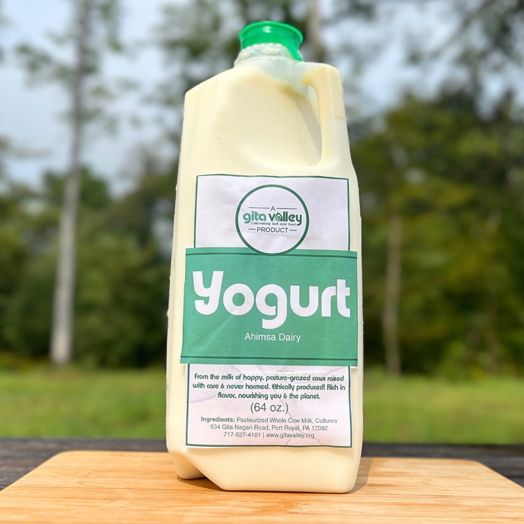 Ahimsa Whole Yogurt— 1/2 gallon